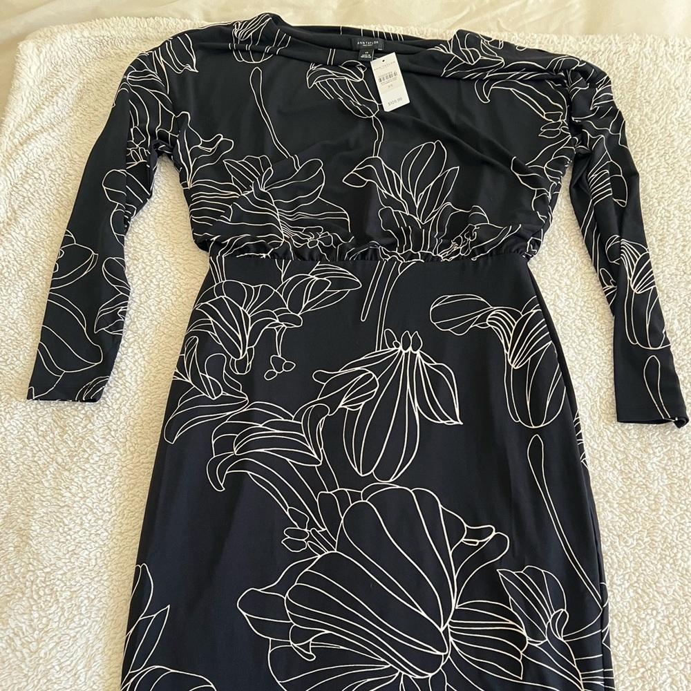 Ann Taylor dress.